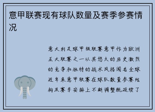 意甲联赛现有球队数量及赛季参赛情况