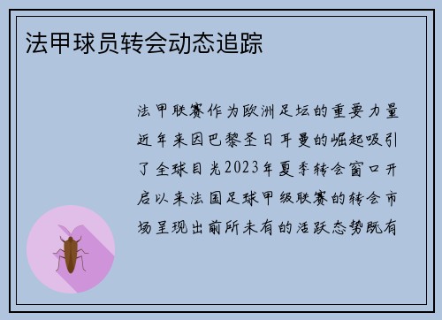 法甲球员转会动态追踪